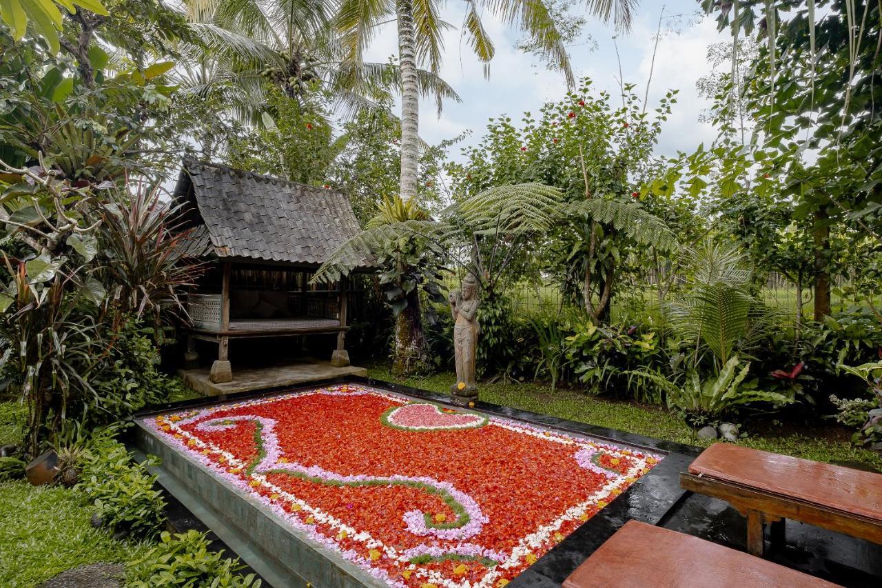 Moringa * Ubud (Bali)